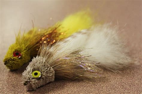 How to Fly Fish: A Beginner’s Guide to Streamer Fishing for Trout.